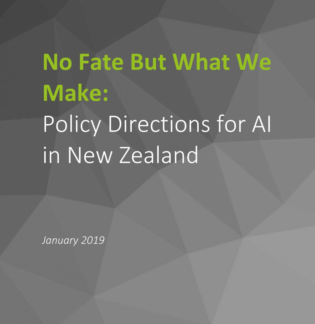 No Fate But What We Make: Policy Directions for AI in New Zealand