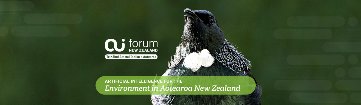 AI for the Environment in Aotearoa New Zealand
