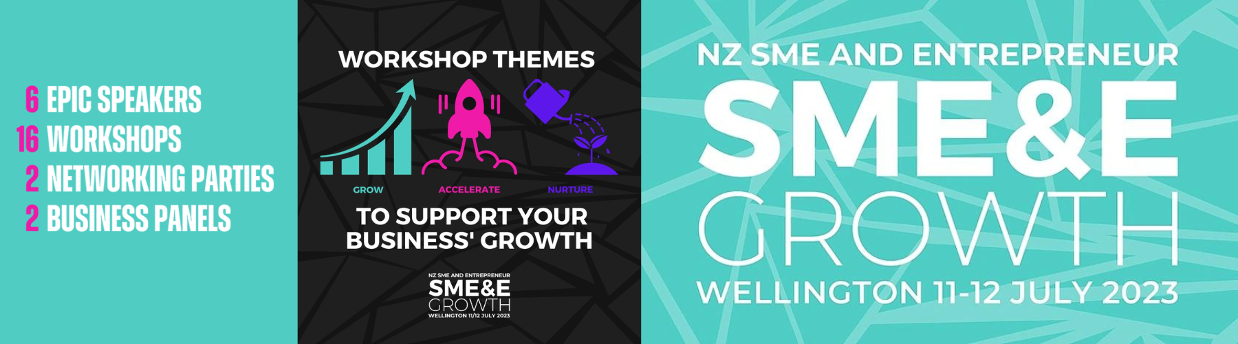 NZ SME&E Growth Event: Artificial Intelligence Business Panel